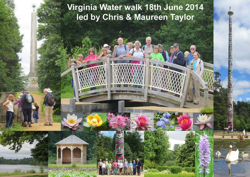 Virginia Water Walk - 18th June 2014